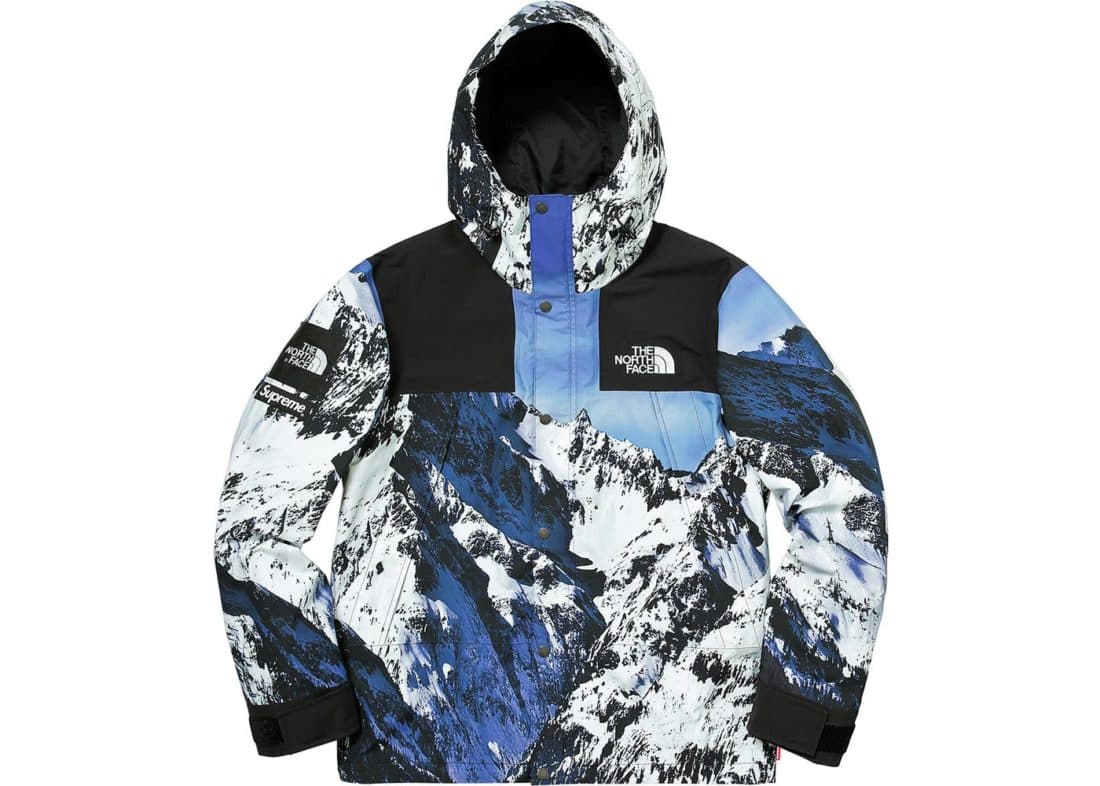 Supreme The North Face Mountain Parka