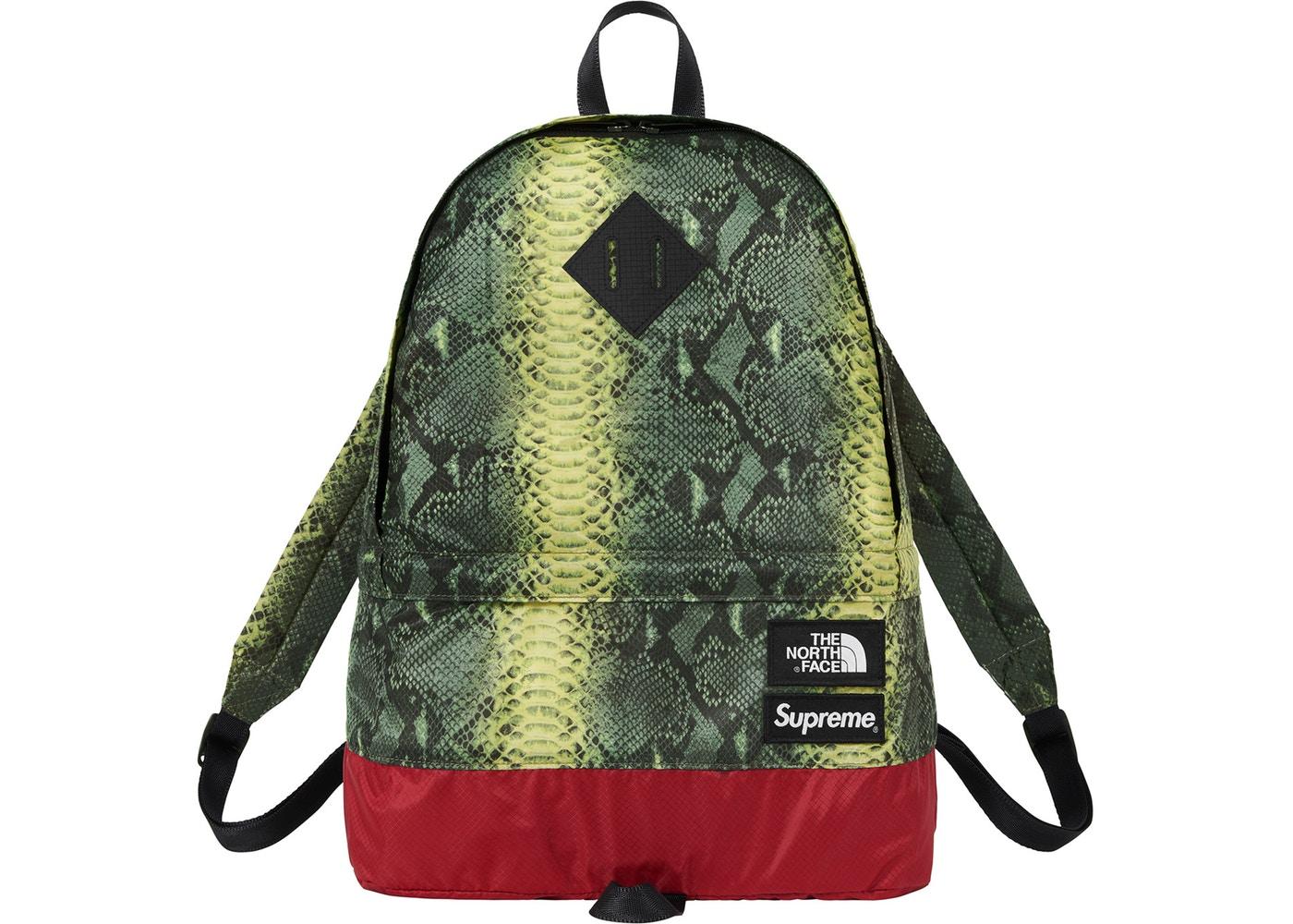 Supreme The North Face Snakeskin Lightweight Day Pack Green