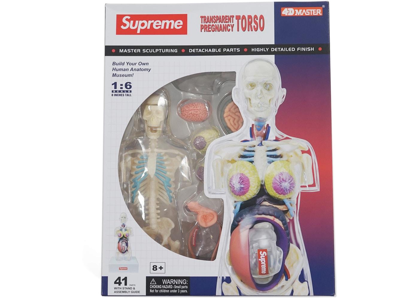 Supreme Female Anatomy Model Fall/Winter 2018 Supreme Female Anatomy Model Fall/Winter 2018