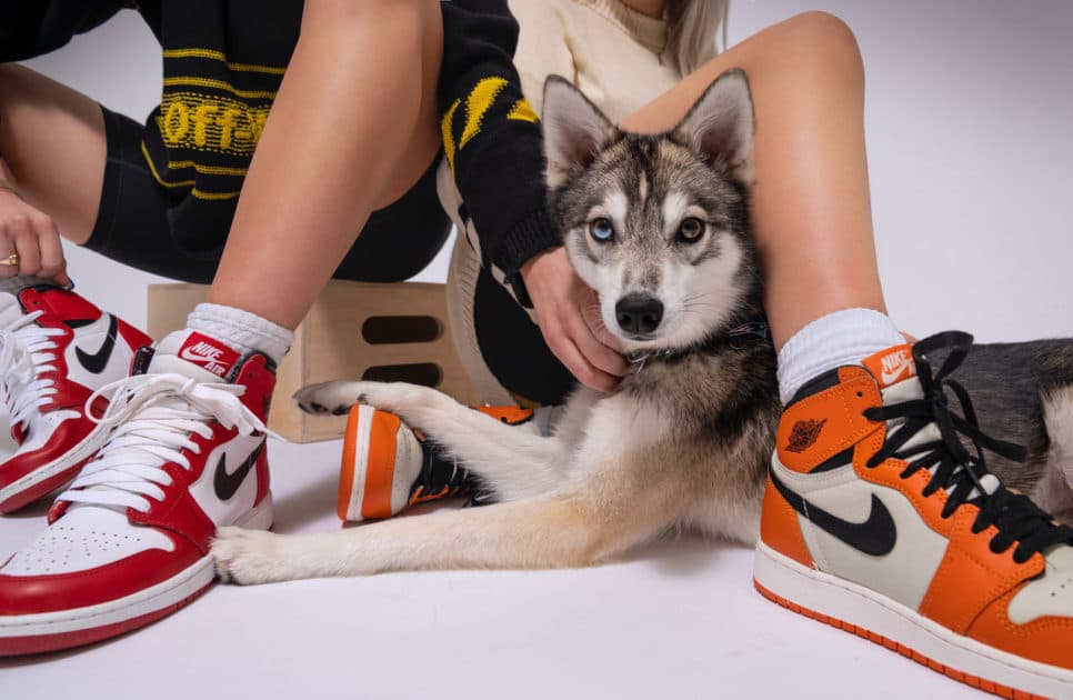 StockX_Image