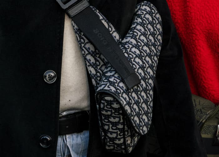 MFWM Dior Saddle bag Hero image