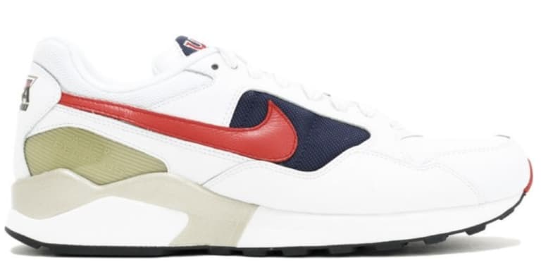 The Last Dance Nike Pegasus