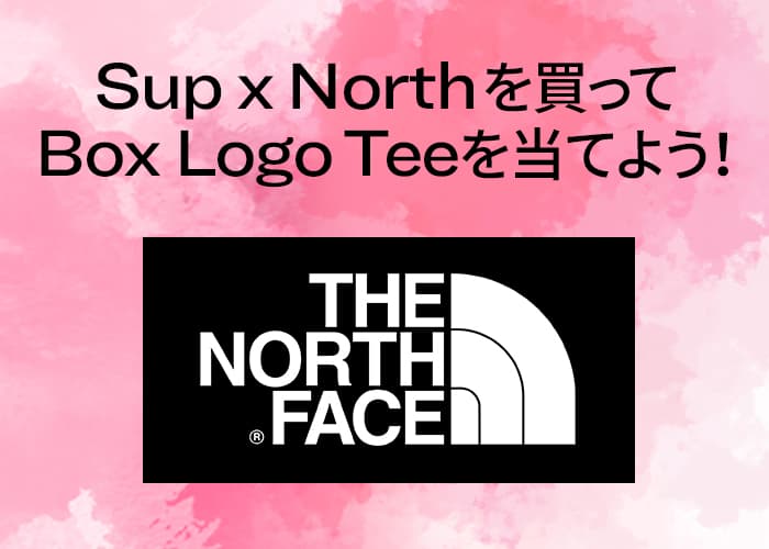 日本限定】Supreme x The North Face 新作コラボを買って、ボックス