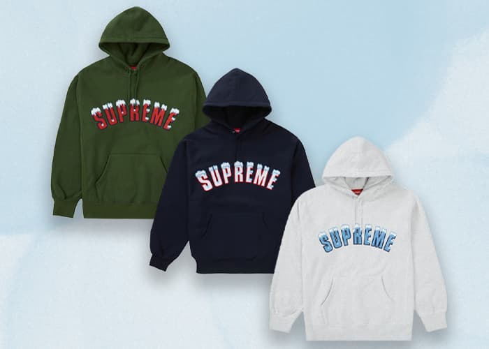 Supreme city hot sale arc hooded sweatshirt