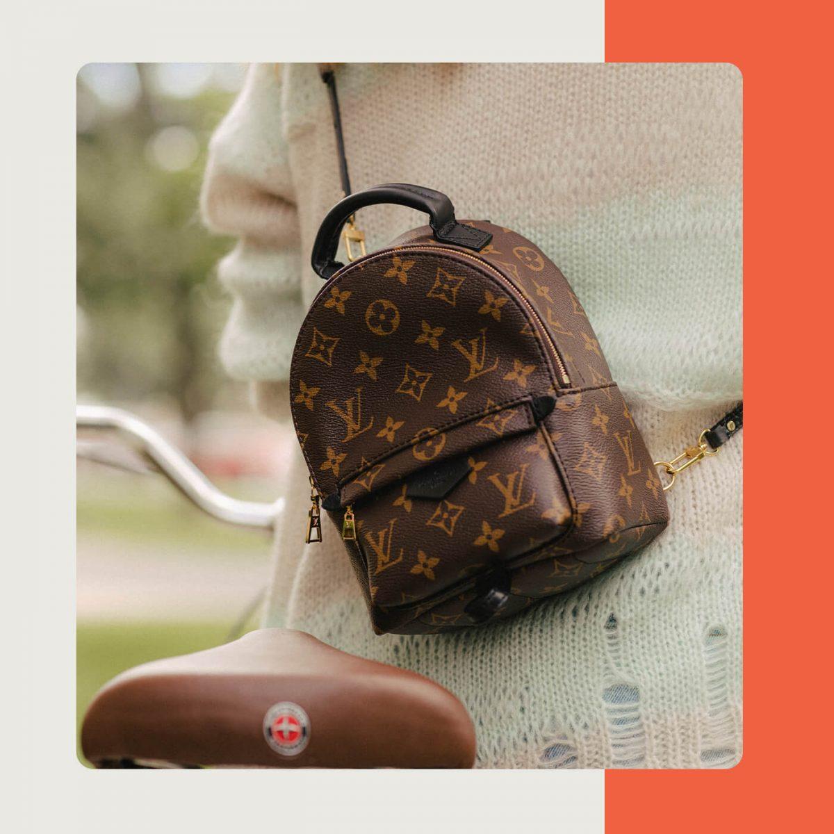 How To Spot Fake Louis Vuitton Palm Springs Mini Backpack - Brands Blogger  in 2023